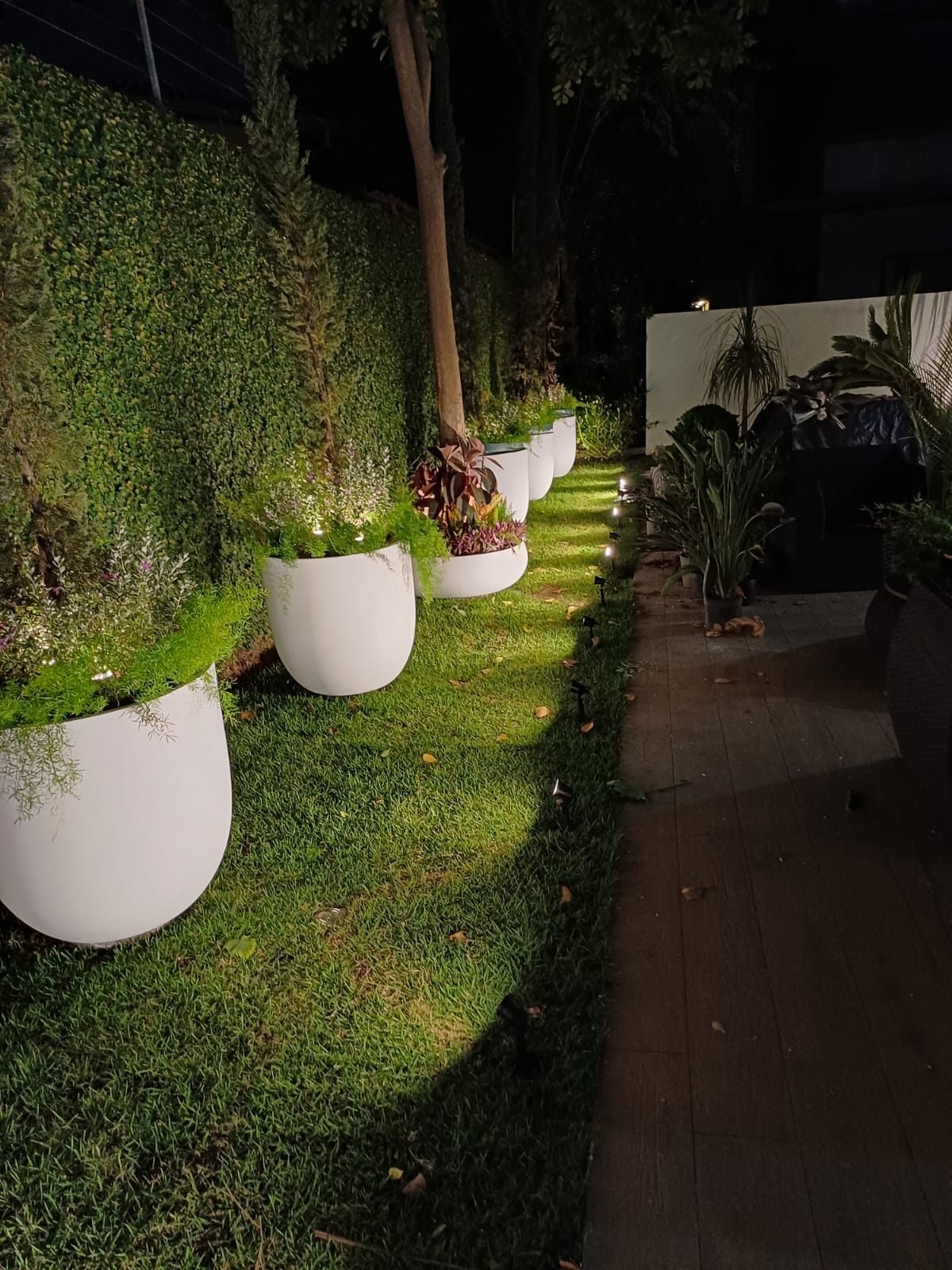 WhatsApp Image 2025 11 17 at 19.25.11 2